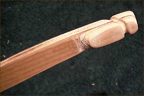 Limb Tip Detail